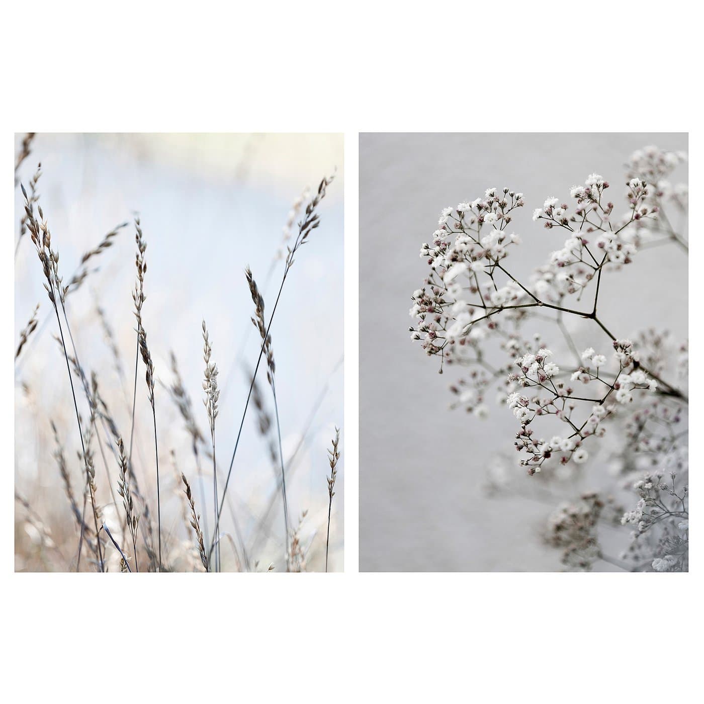 PJÄTTERYD Picture Set of 2 for AED 25 at IKEA - 35% Off